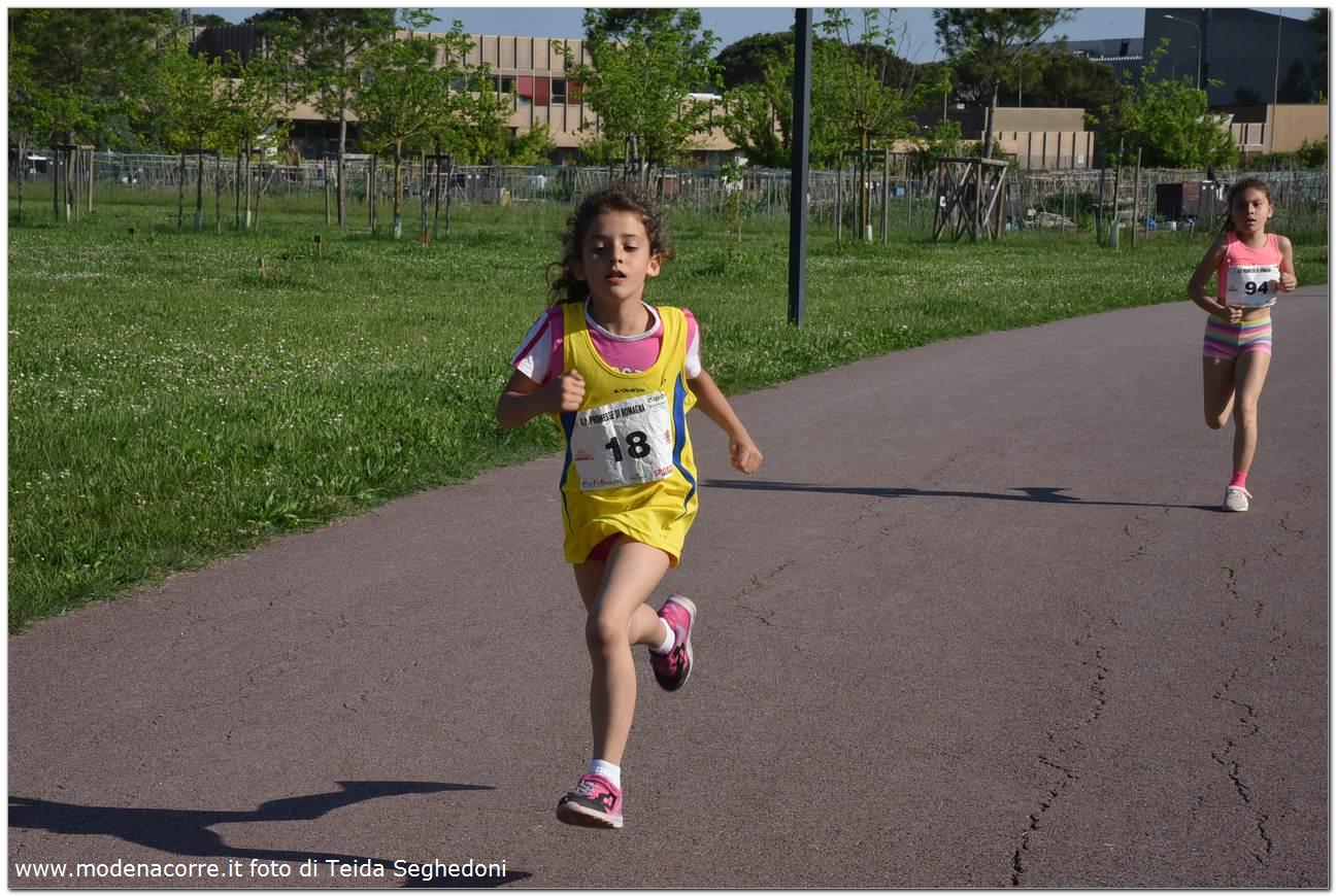 Ravenna: Parco Baronio (Promesse) - 14 maggio 2022